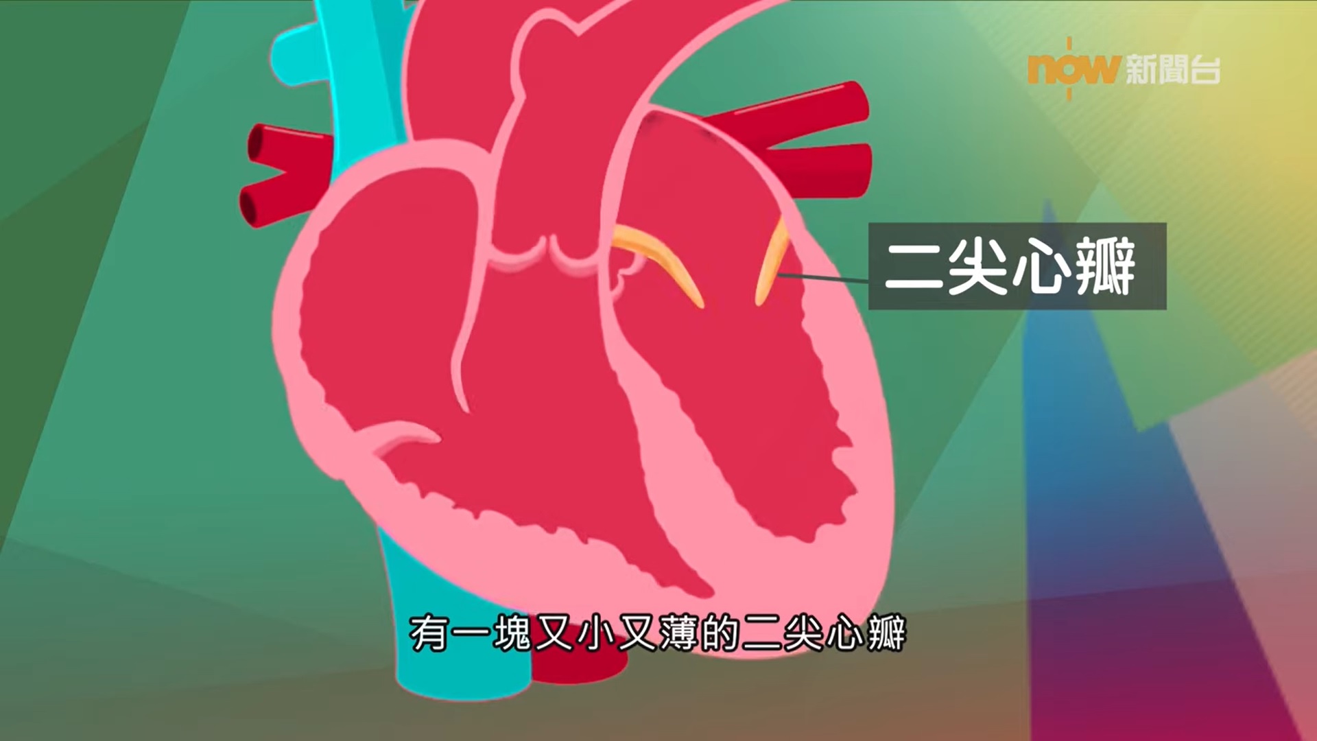 維繫生命的瓣膜